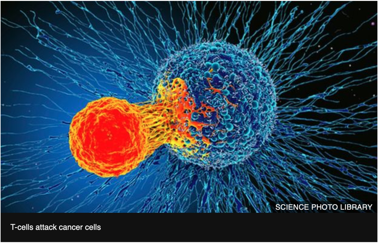 T-cell cancer