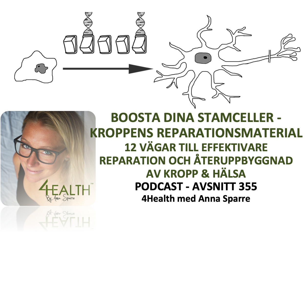 355: Promote the production of stem cells – the body's repair substance.  12 ways to repair and rebuild your body and health more effectively