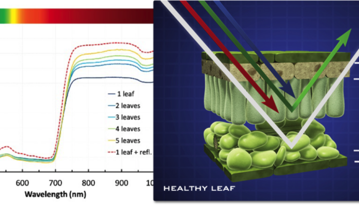 Extra IR- & energiboost + mindre inflammation – Hur och varför